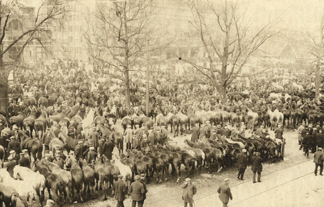 300981 Gezicht op de Palmpaardenmarkt op het Vredenburg te Utrecht.